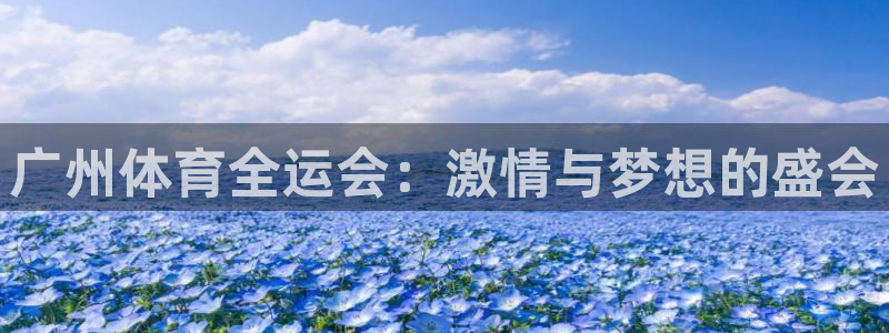 新球体育篮球比分：广州体育全运会：激情与梦想的盛会