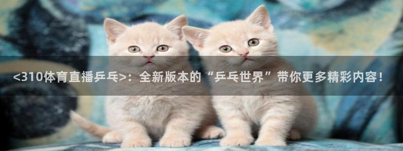 新体球即时比分新球体育：<310体育直播乒乓>：全新版本的“乒乓世界”带你更多精彩内容！