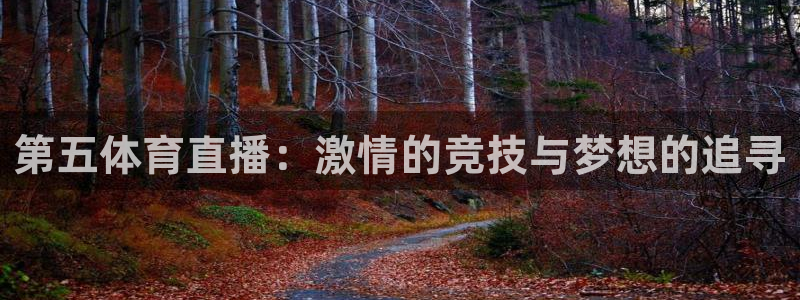 新球体育网球比分：第五体育直播：激情的竞技与梦想的追寻