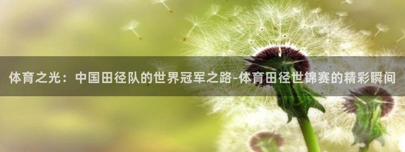 新球体育篮球比分：体育之光：中国田径队的世界冠军之路-体育田径世锦赛的精彩瞬间