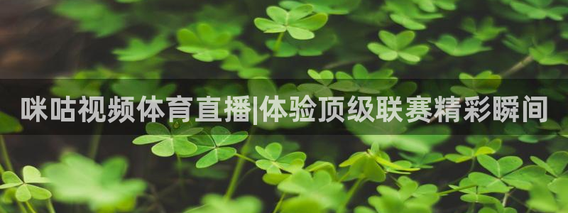 新球体育比分网：咪咕视频体育直播|体验顶级联赛精彩瞬间