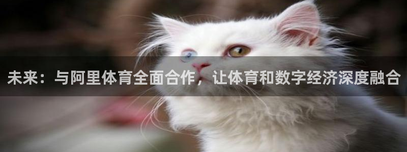 新球体育即时分：未来：与阿里体育全面合作，让体育和数字经济深度融合