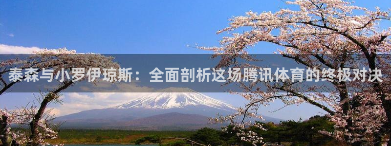 新球体育足球官网：泰森与小罗伊琼斯：全面剖析这场腾讯体育的终极对决