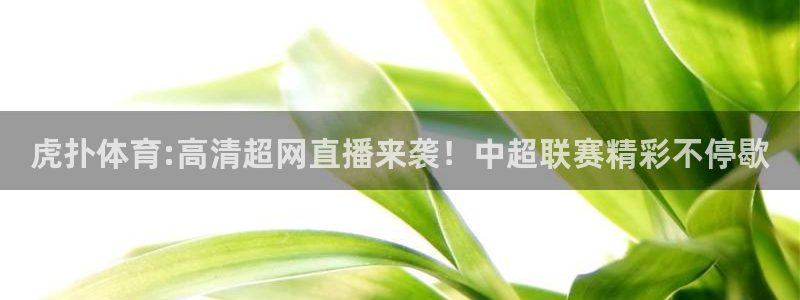 新球体育app：虎扑体育:高清超网直播来袭！中超联赛精彩不停歇