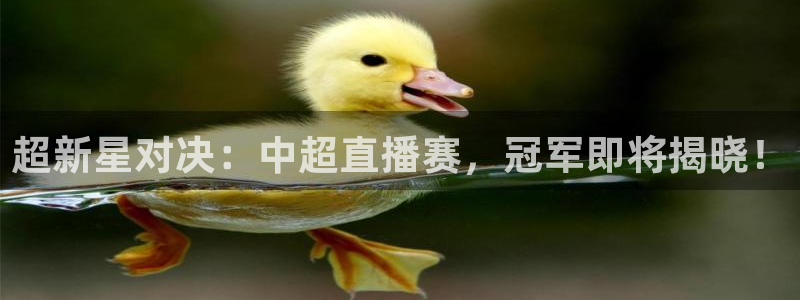 新球体育足球即时比分：超新星对决：中超直播赛，冠军即将揭晓！