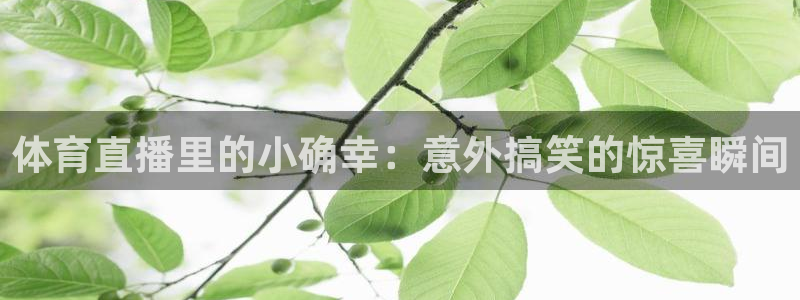 新球足球直播