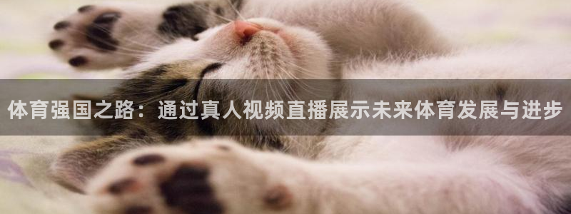 新球体育即时分