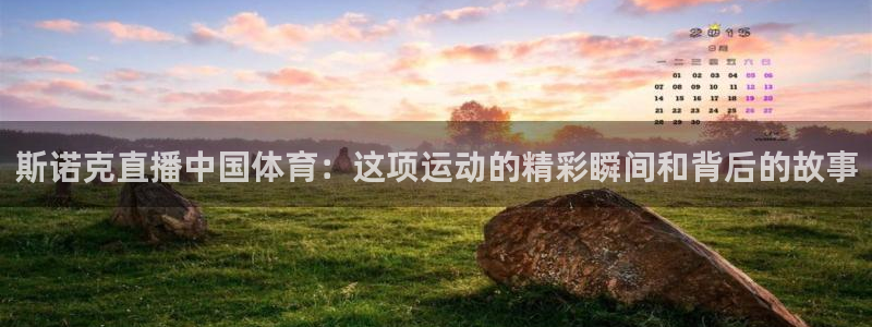 新球体育足球比分