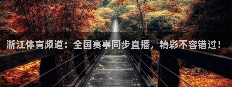 新球体育完整版：浙江体育频道：全国赛事同步直播，精彩不容错过！